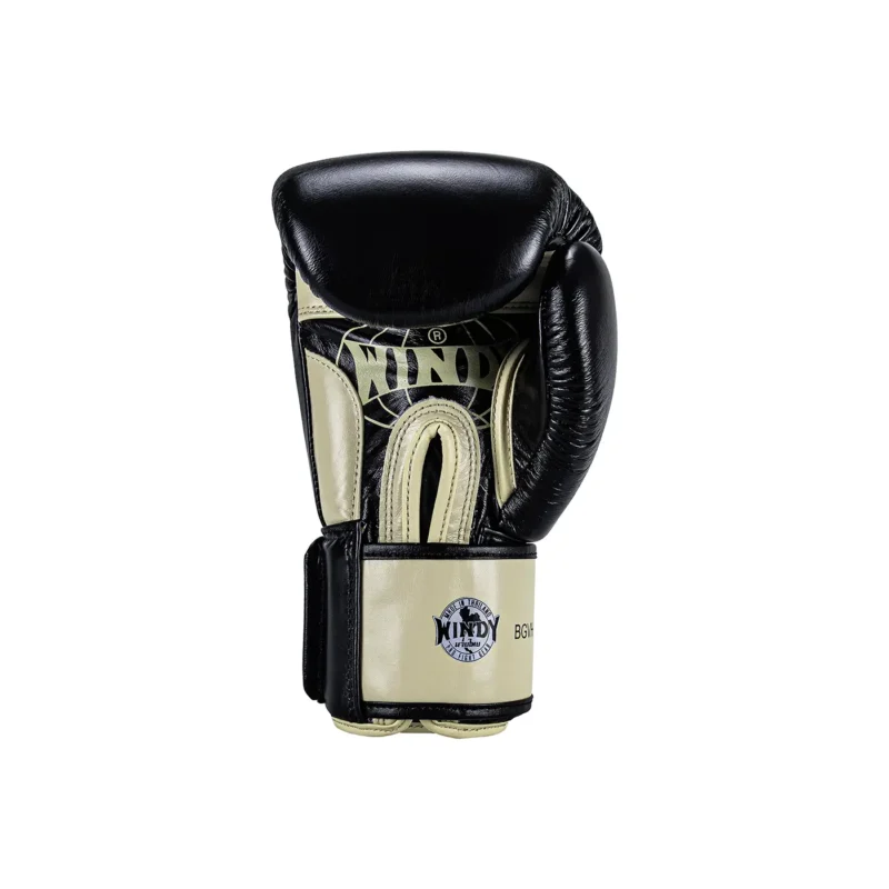 Guantes de entrenamiento Boxeo Windy Heavy Hitter