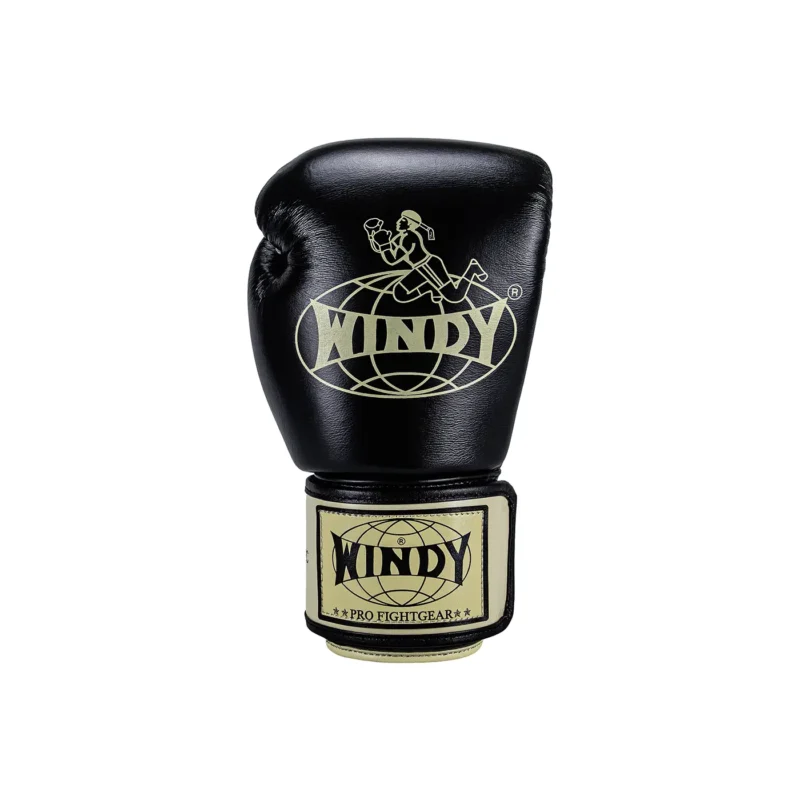 Guantes de entrenamiento Boxeo Windy Heavy Hitter