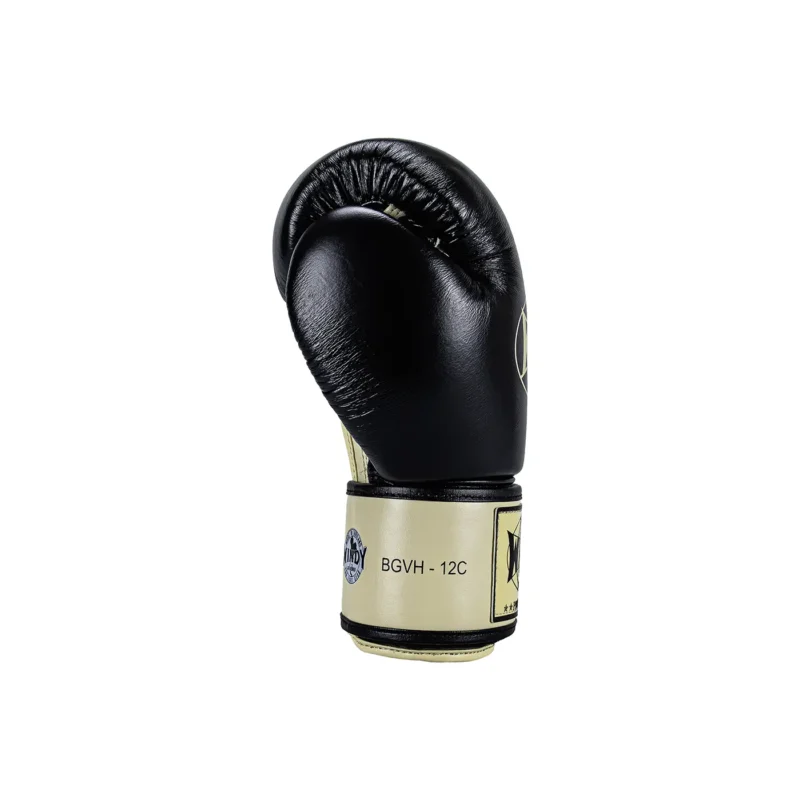 Guantes de entrenamiento Boxeo Windy Heavy Hitter