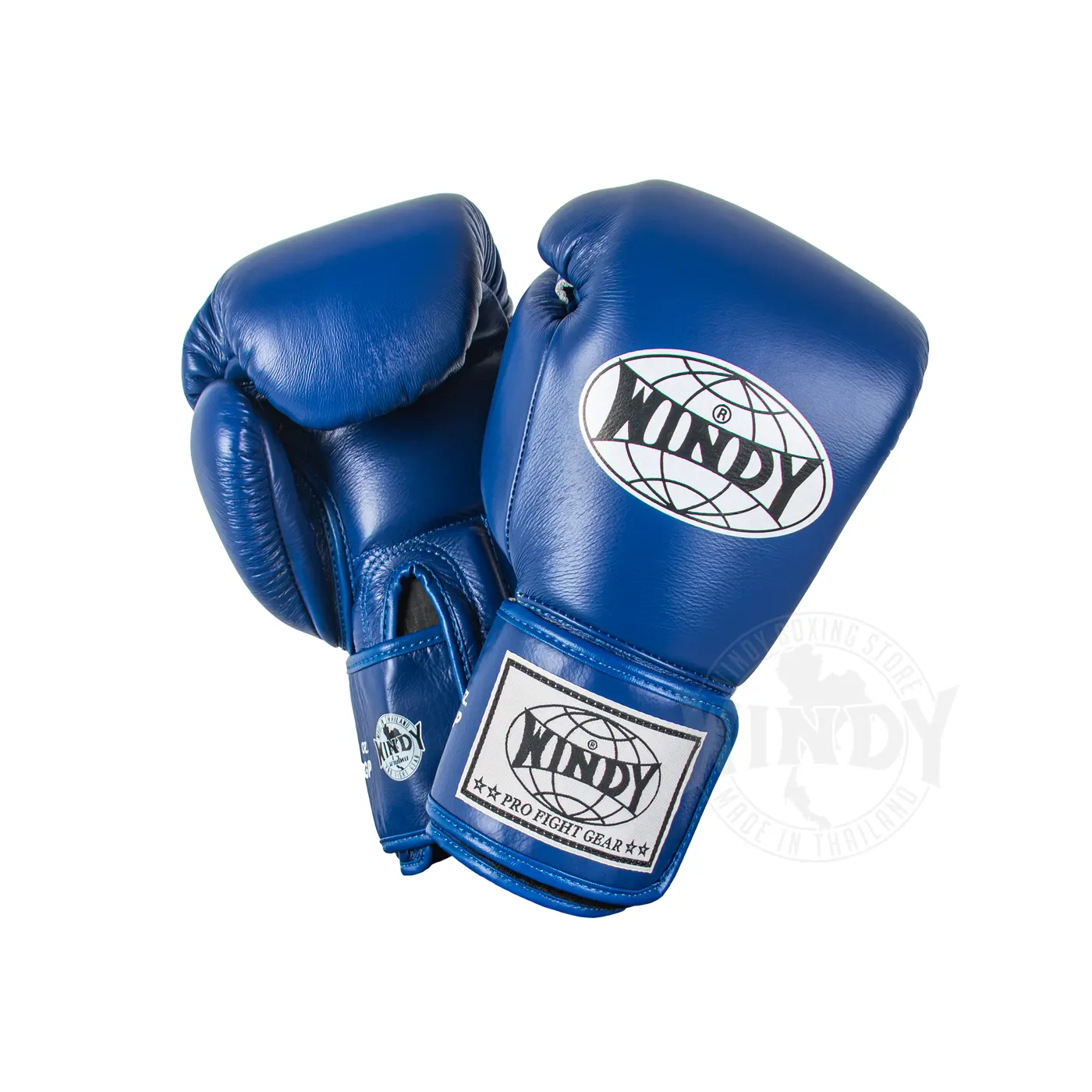 Guantes Muay Thai Windy azul